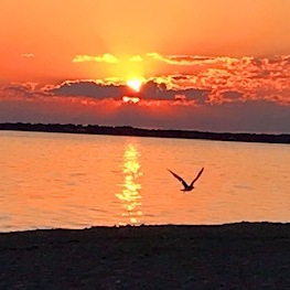 Fundraising Page: Gretchen Bingham